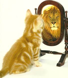 La Magia del espejo